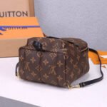 LV Palm Springs Mini Backpack - Image 3