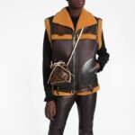 LV Nano Noe Bag - Image 5