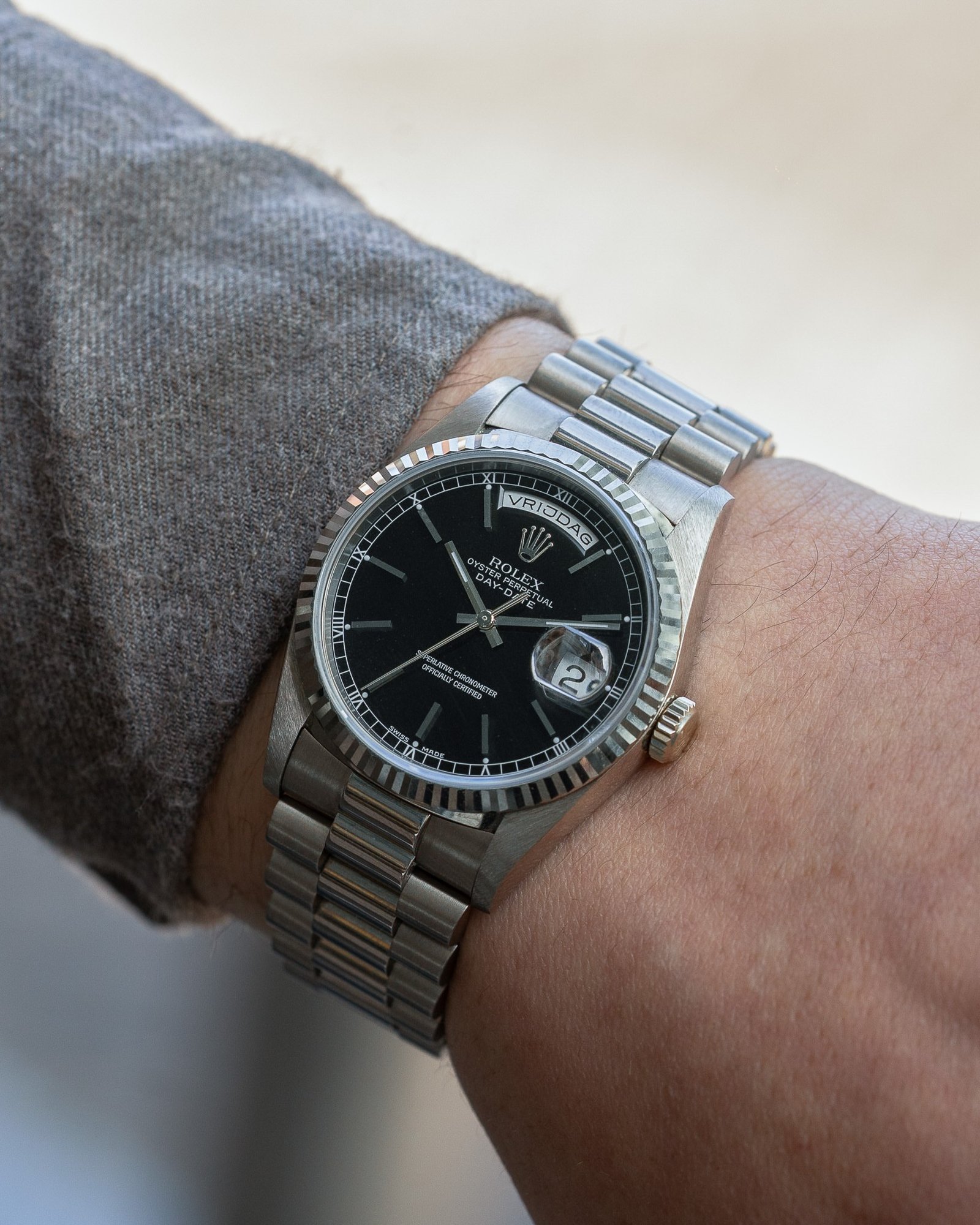 502569492_734191289278519_5172684728761561519_n