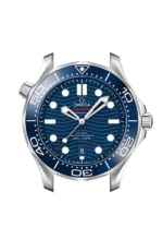DIVER 300M CO‑AXIAL MASTER CHRONOMETER 42 MM-210.32.42.20.03.001 - Image 3