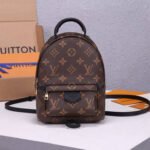 LV Palm Springs Mini Backpack - Image 4