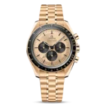 MOONWATCH PROFESSIONAL CO‑AXIAL MASTER CHRONOMETER CHRONOGRAPH 42 MM-310.60.42.50.99.002