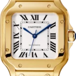 CARTIER santos 18kt Yellow Gold Men's WatchItem -WGSA0007(AAAAA)