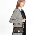 LV Neo Saint Cloud Handbag - Image 2